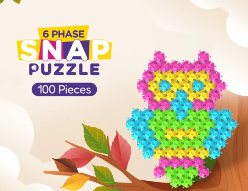 Snap Puzzle